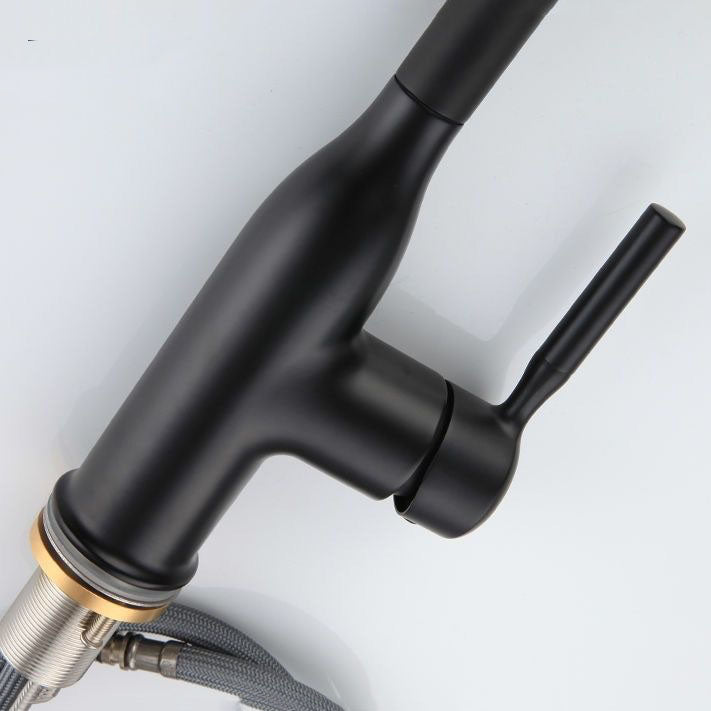 Pull Down Kitchen Faucet One Handle High Arc Dispenser NALANI