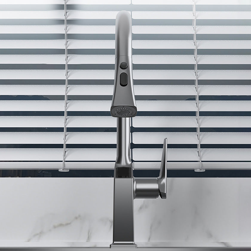 Pull Down Kitchen Faucet With Sprayer And Single Handle NALANI