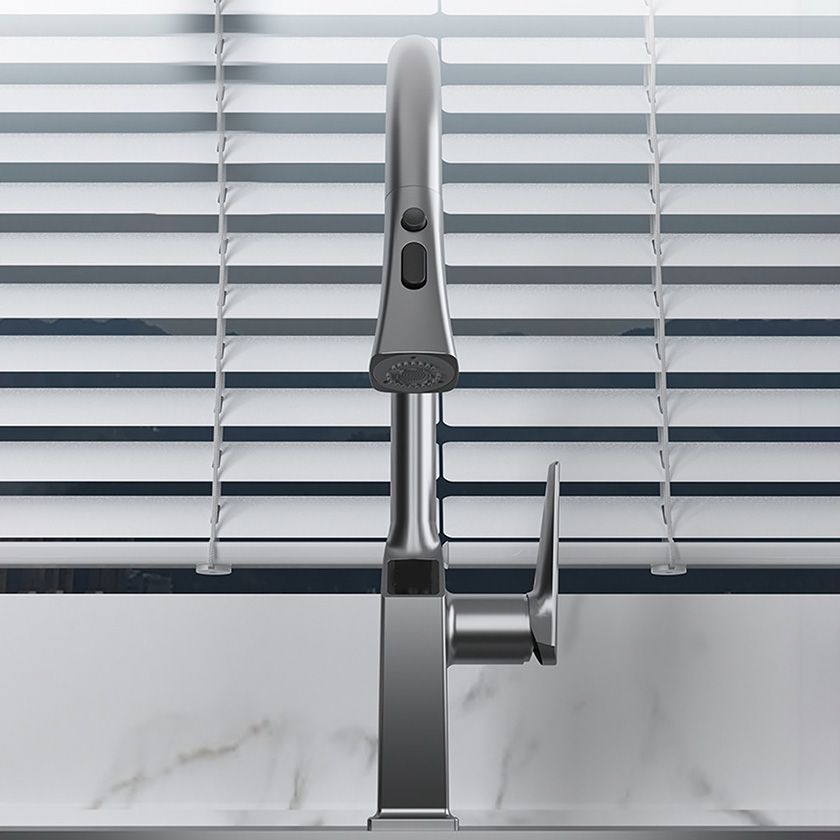 Pull Down Kitchen Faucet With Sprayer And Single Handle NALANI