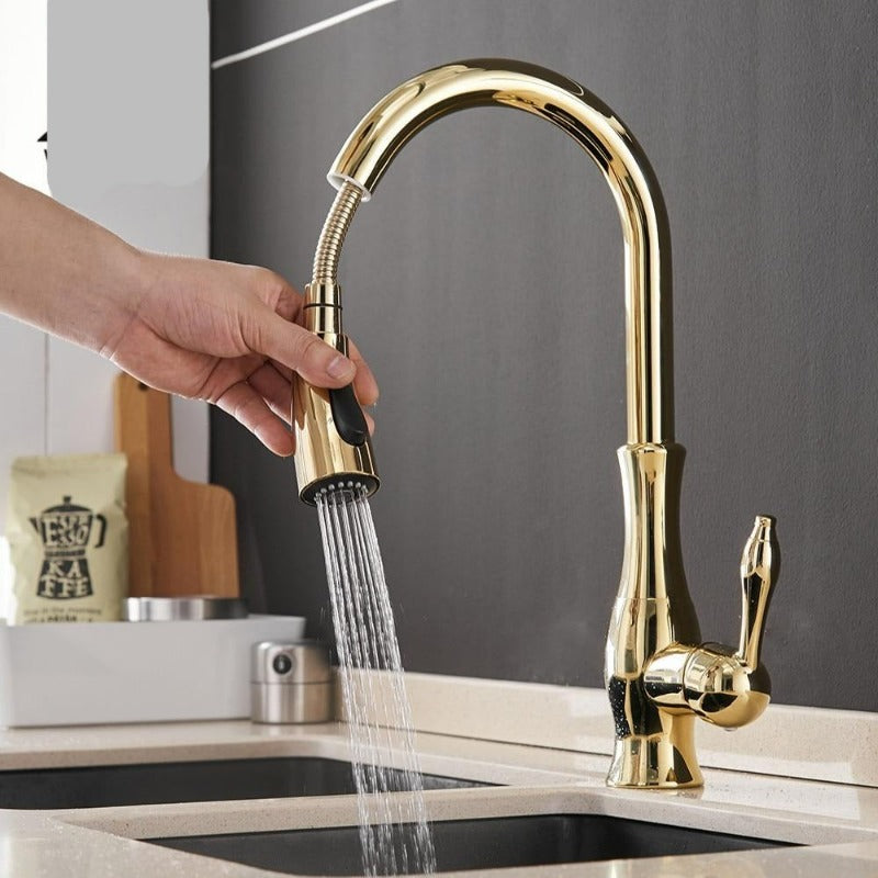 Pull Out Stainless Steel Kitchen Faucet With Flexible Spray-Elektronica/Gadgets-NaLani