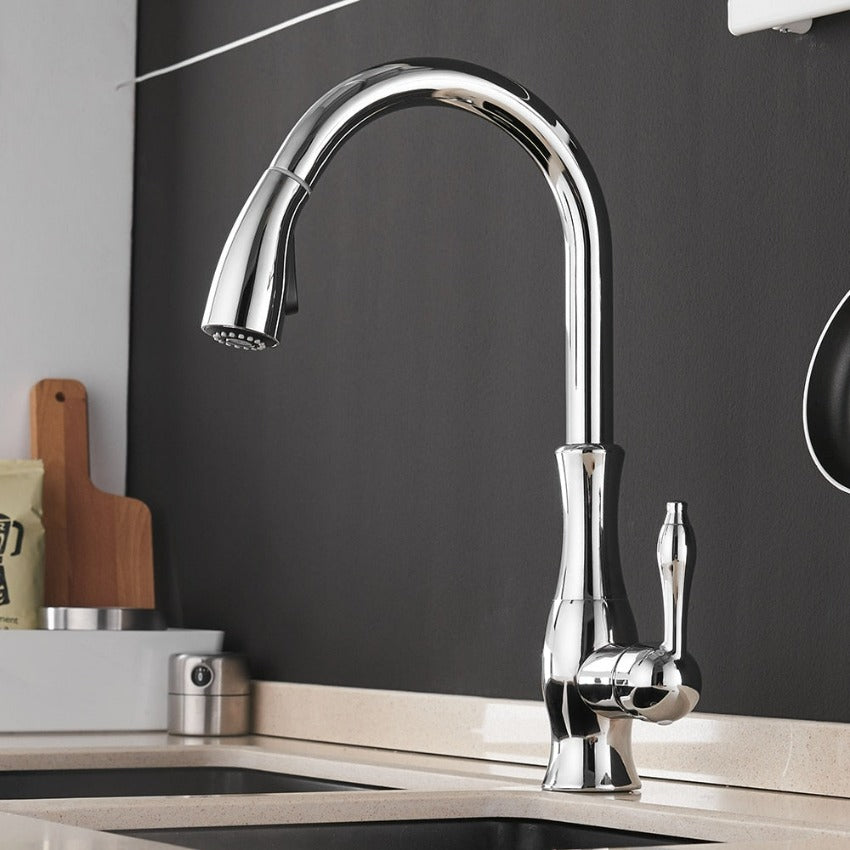 Pull Out Stainless Steel Kitchen Faucet With Flexible Spray-Elektronica/Gadgets-NaLani
