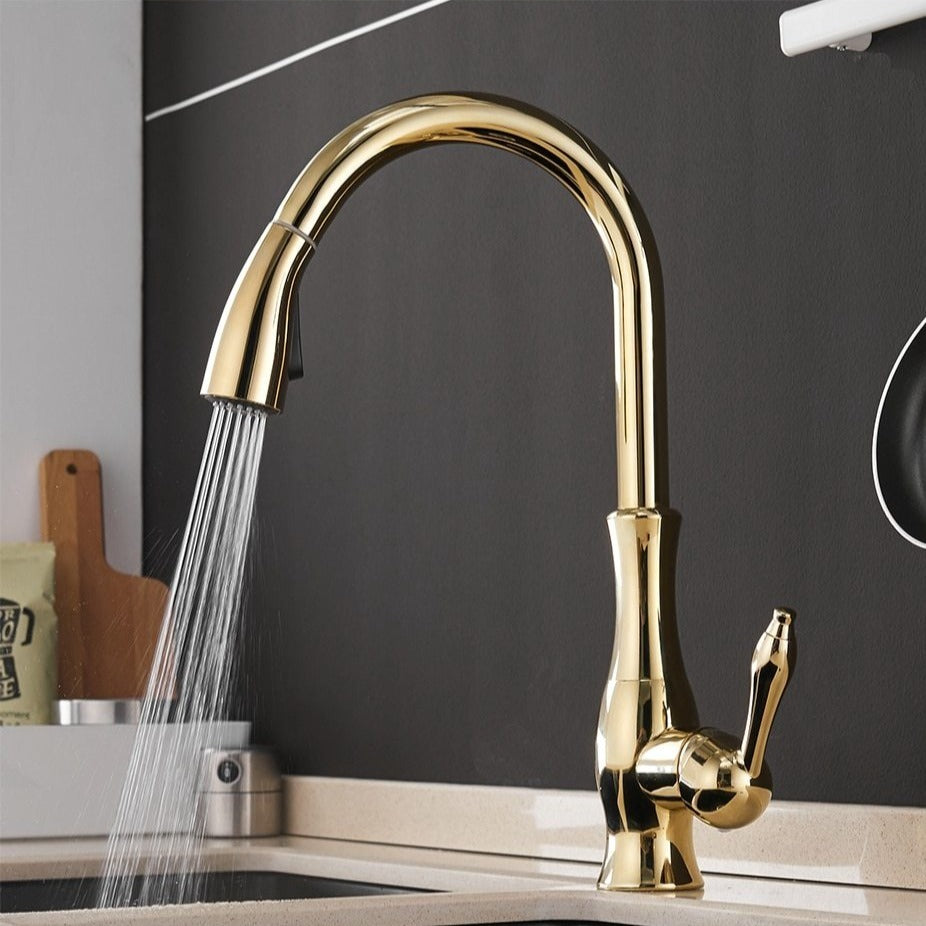 Pull Out Stainless Steel Kitchen Faucet With Flexible Spray-Elektronica/Gadgets-NaLani
