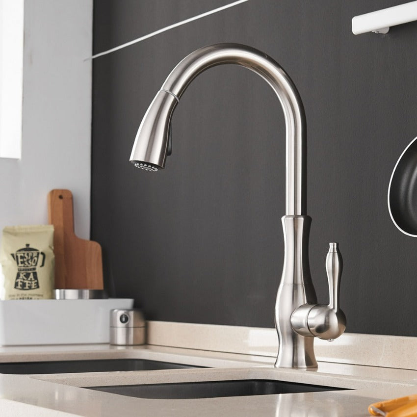 Pull Out Stainless Steel Kitchen Faucet With Flexible Spray-Elektronica/Gadgets-NaLani