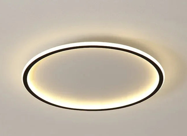 Scandinavian LED Ceiling Lamp Dimmable Modern Stylish Lighting 60cm black NaLani