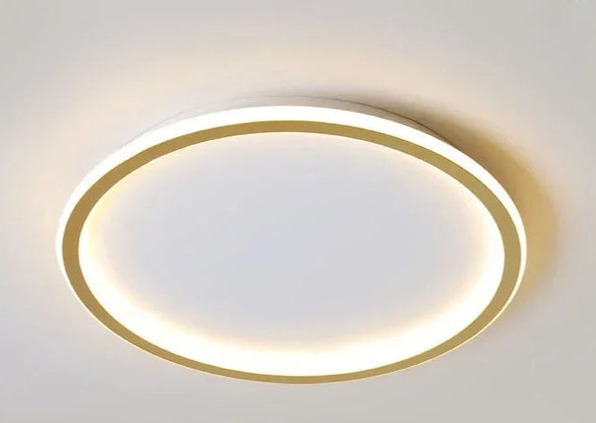 Scandinavian LED Ceiling Lamp Dimmable Modern Stylish Lighting 60cm gold NaLani