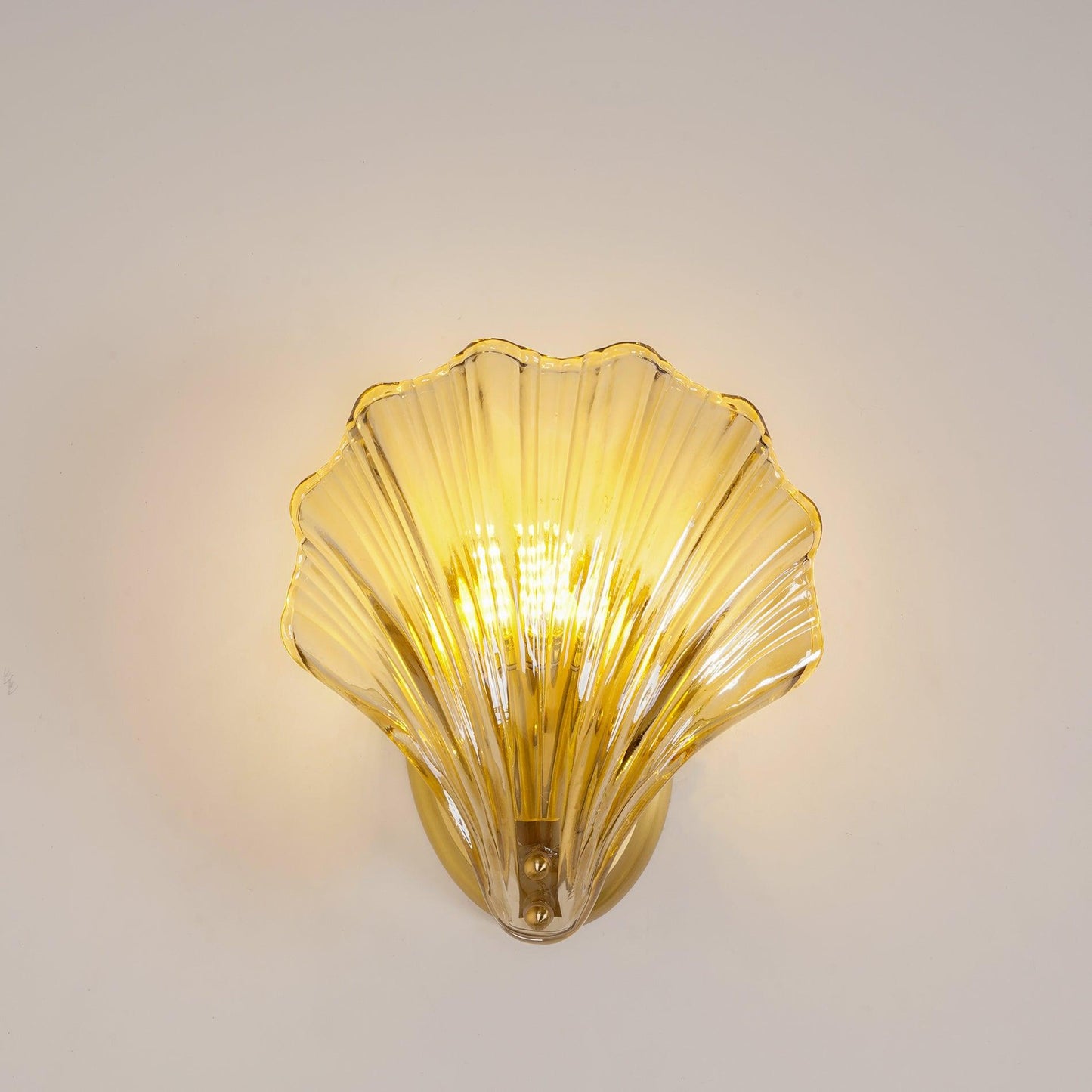 Shell Wall Light With Brass Finish Elegant Accent Lighting Model A ∅ 7.9″x H 8.7″ Brass & Amber NALANI