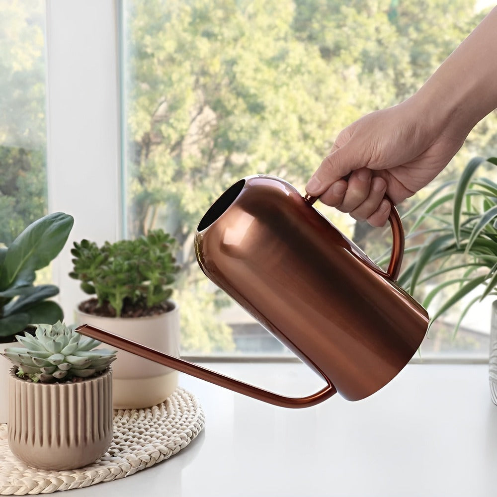 Slim Stainless Steel Watering Can With Long Spout Garden Use NALANI