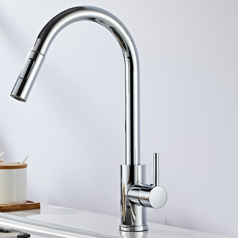 Stainless Steel Bridge Faucet With Pull Down Sprayer Silver Gooseneck Pull Out Faucet NALANI