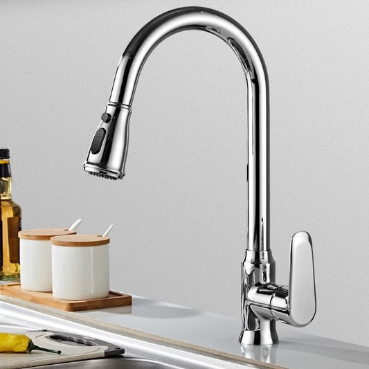 Stainless Steel Bridge Faucet With Pull Down Sprayer NALANI