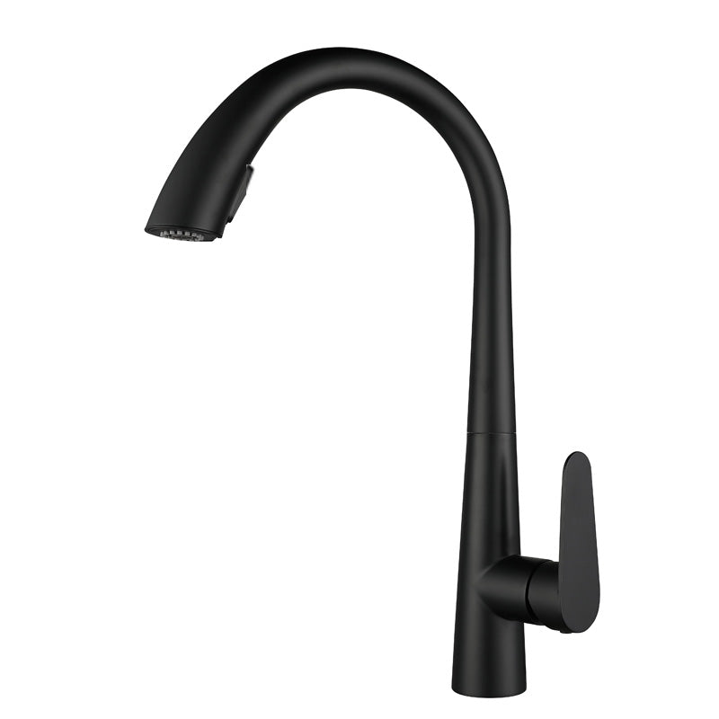 Touchless Gooseneck Kitchen Faucet With Pull Down Sprayer Black No Sensor NALANI