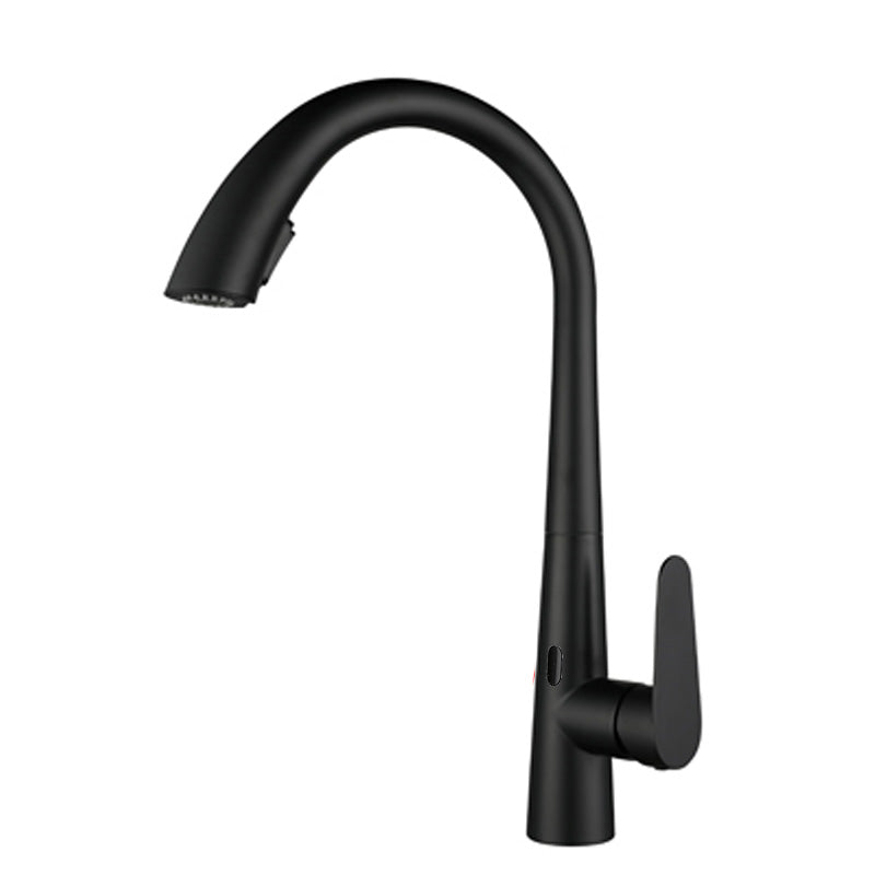 Touchless Gooseneck Kitchen Faucet With Pull Down Sprayer Black Sensor NALANI