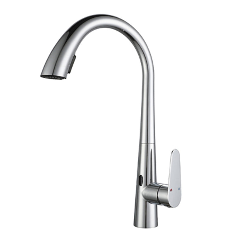 Touchless Gooseneck Kitchen Faucet With Pull Down Sprayer Chrome Sensor NALANI
