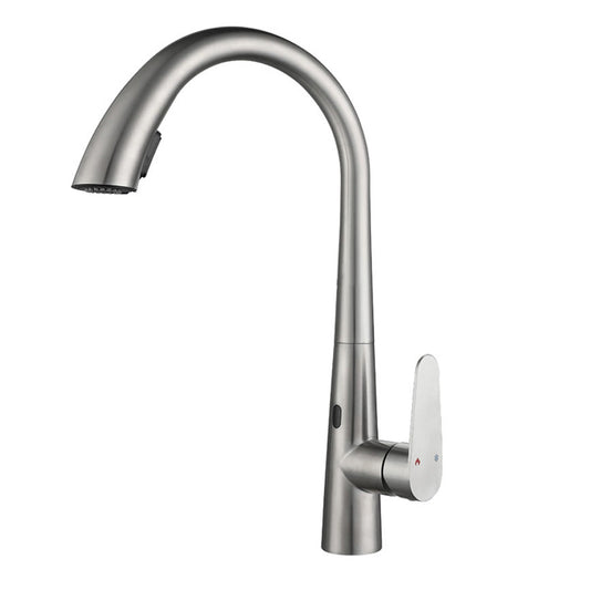 Touchless Gooseneck Kitchen Faucet With Pull Down Sprayer NALANI