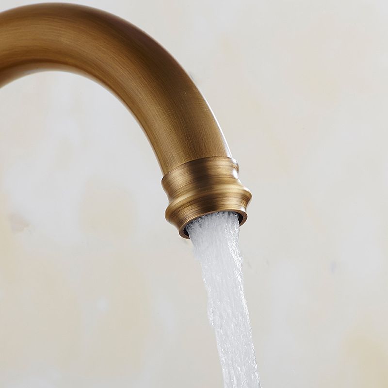 Traditional 1-Hole Gooseneck Kitchen Faucet Spout Swivel NALANI