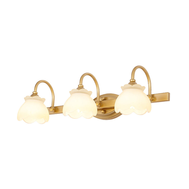 Traditional Brass LED Vanity Light 2 3 4 Heads Wall Mount NALANI