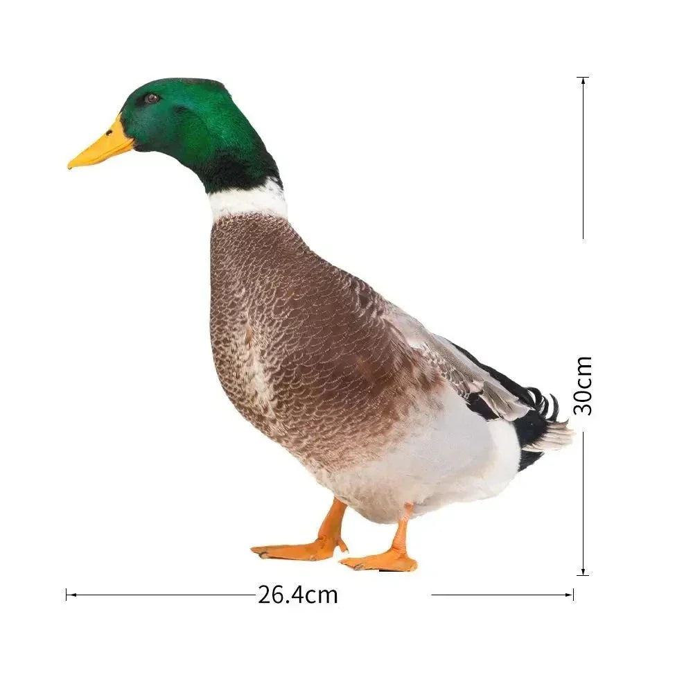 Realistic Duck Sculpture for Garden or Patio Décor NALANI