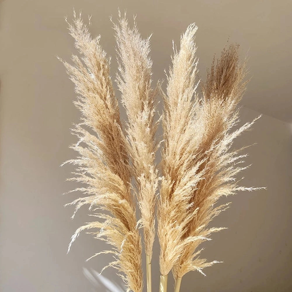 Large Dried Pampas Grass Bouquet for Boho Home Decor Naturally NaLani
