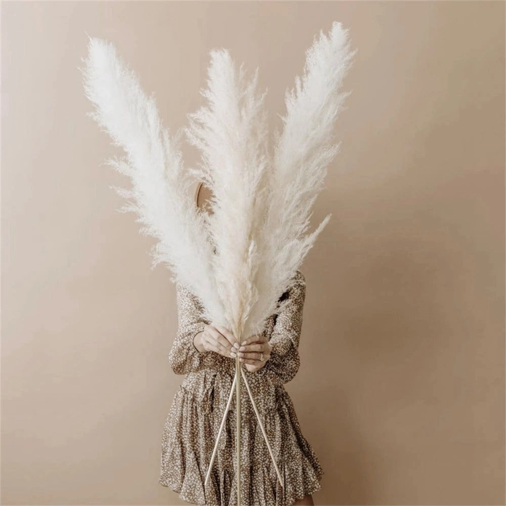 Large Dried Pampas Grass Bouquet for Boho Home Decor White NaLani