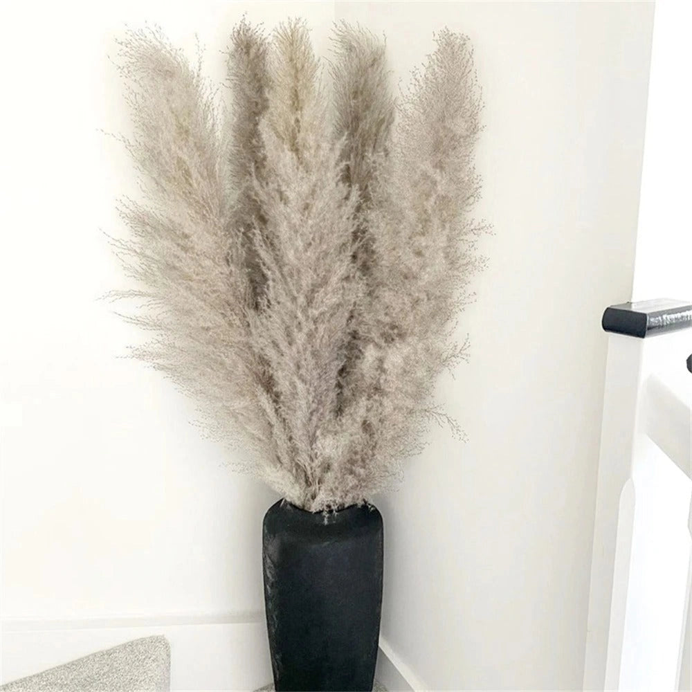 Large Dried Pampas Grass Bouquet for Boho Home Decor NaLani