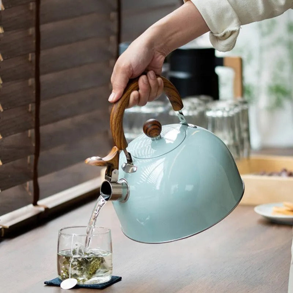 Elegant Whistling Stainless Steel Kettle Quick Boil Fast NALANI