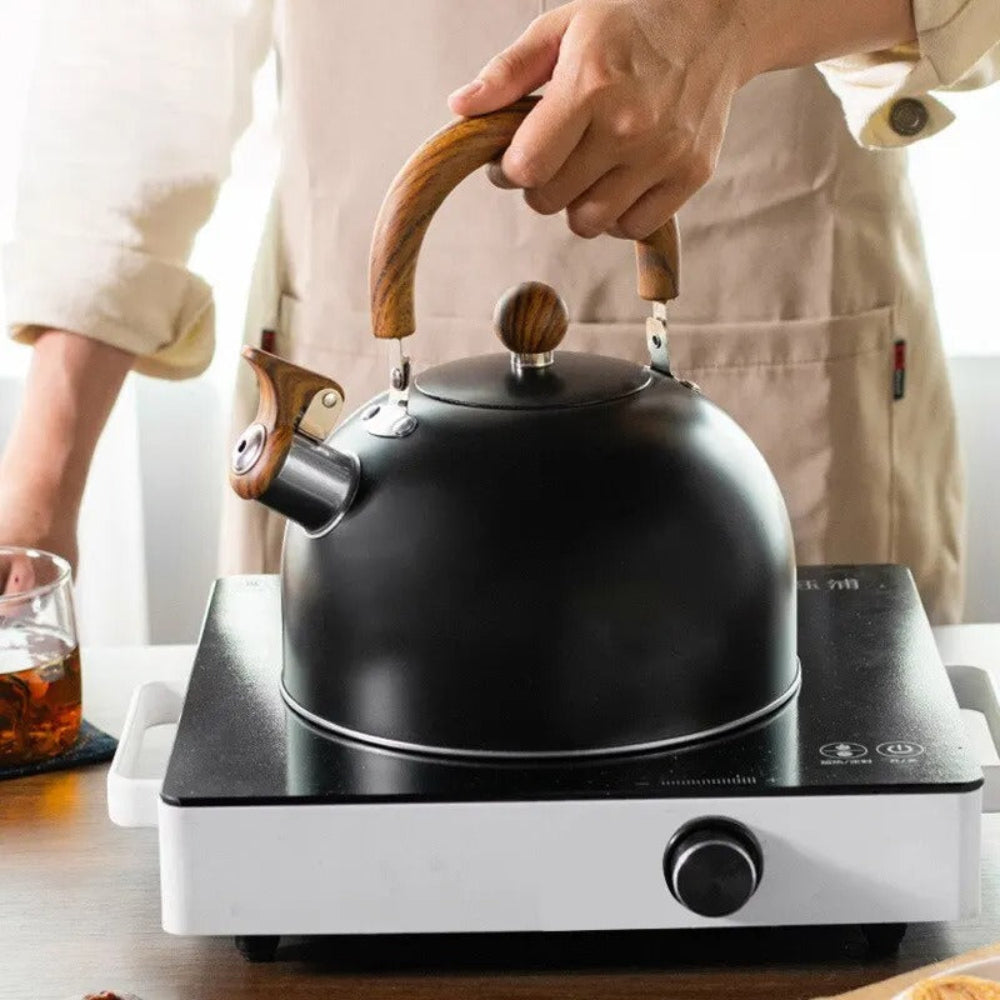 Elegant Whistling Stainless Steel Kettle Quick Boil Fast NALANI