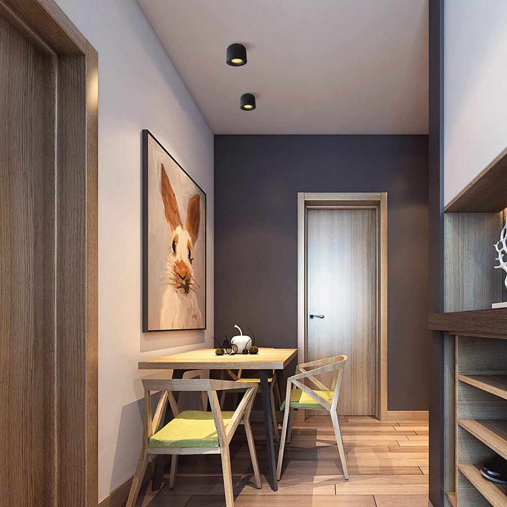 Diapole | Classic Nordic LED Spotlights for Versatile Home Lighting Solutions NaLani