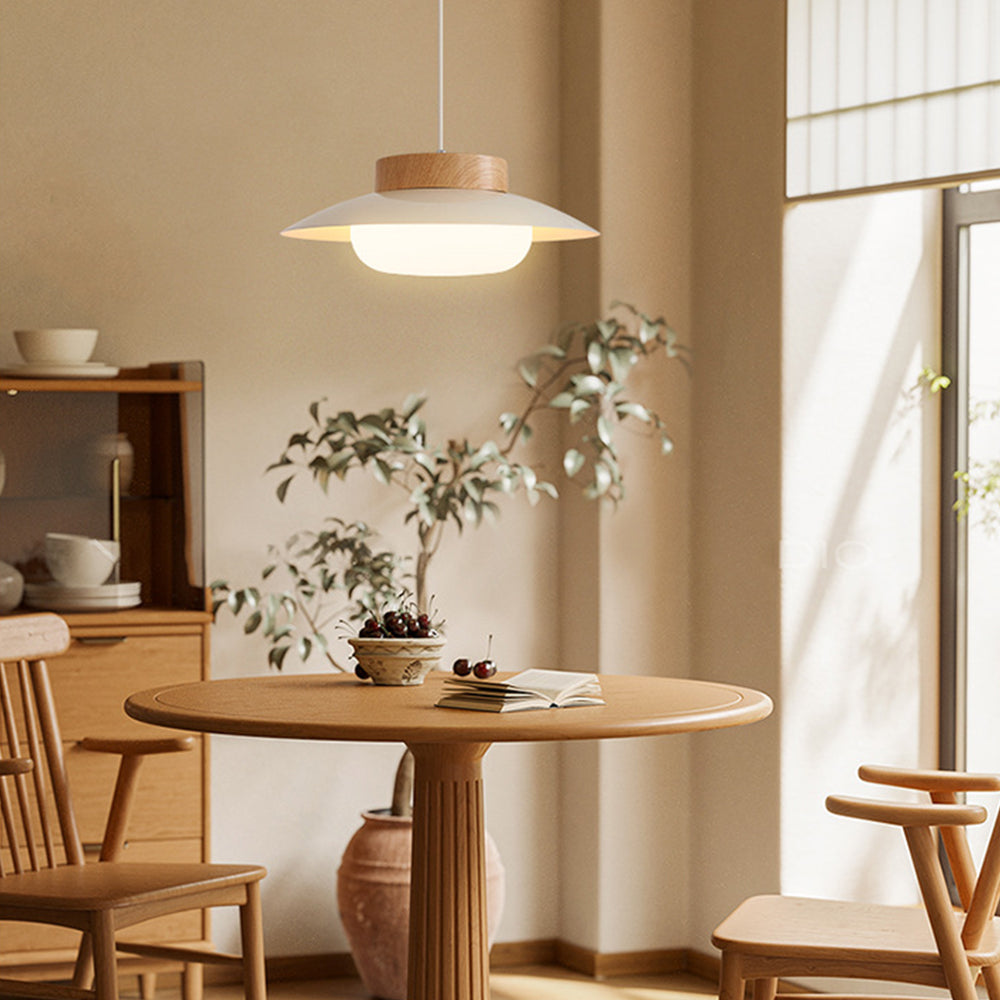 Diapole | Rice Bowl Hanging Lamp - Creative Pendant Light for Home Decor NaLani