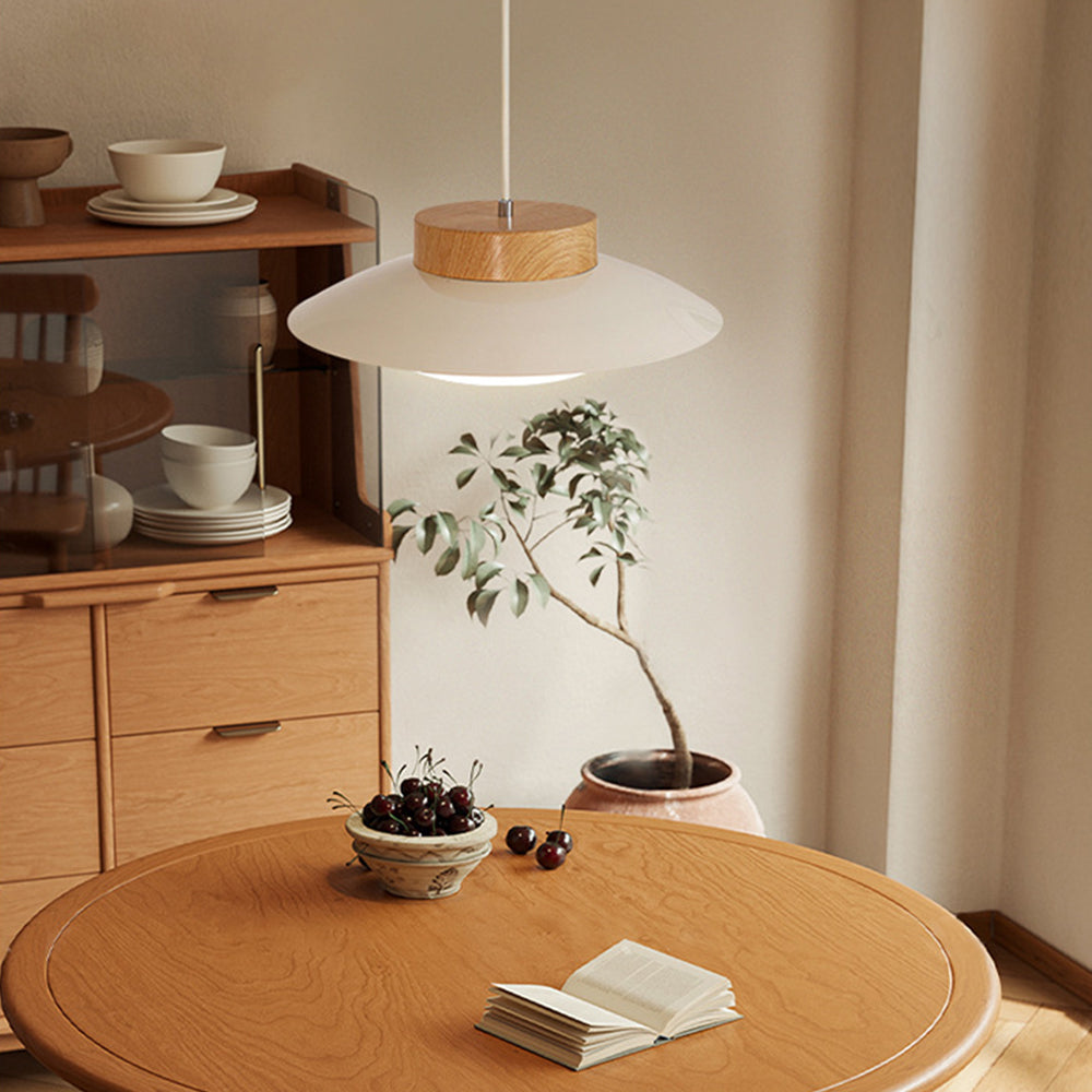 Diapole | Rice Bowl Hanging Lamp - Creative Pendant Light for Home Decor NaLani