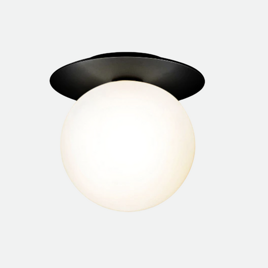 Fiorani Casa | Globe and Metal Plate Ceiling Light for Modern Home Decor Black Frosted NaLani
