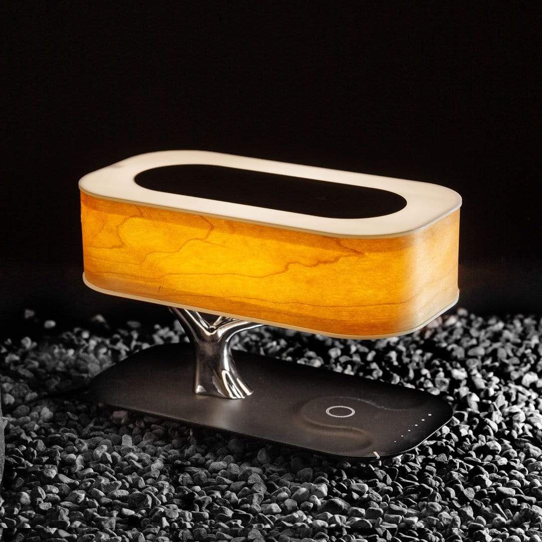 Fiorani Casa | Light Lamp with Wireless Charging and Bluetooth Speakers NaLani