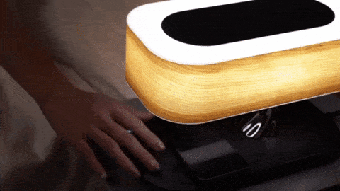 Fiorani Casa | Light Lamp with Wireless Charging and Bluetooth Speakers NaLani