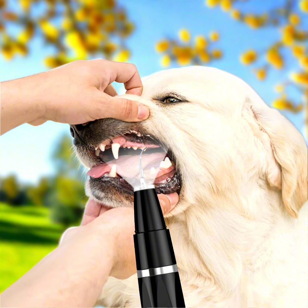 Ultrasonic Tartar Remover For Pets Teeth Cleaning Brush NALANI