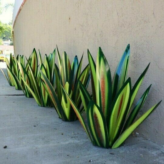 Anti-rust Metal Tequila Agave Plant NALANI