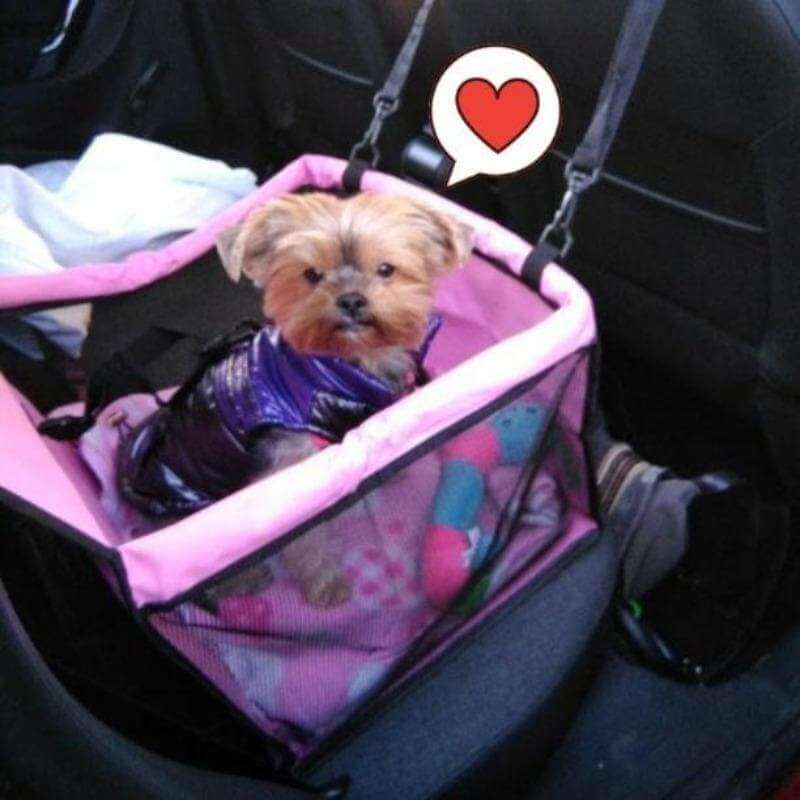 Pet Safety Car Seat For Dogs And Cats In Vehicle Comfort NALANI