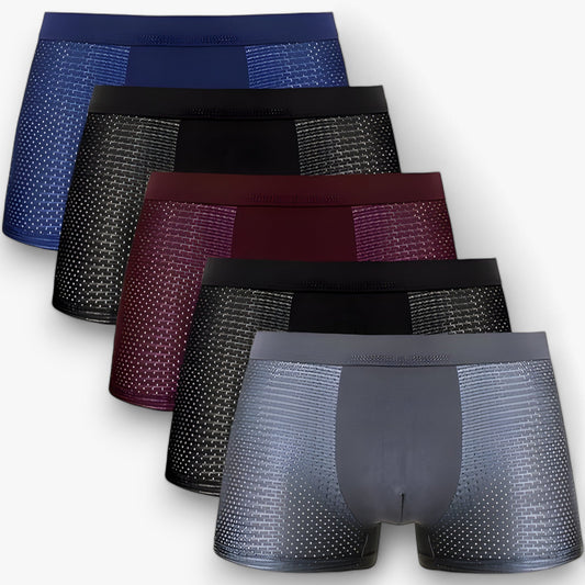 Bamboo Mesh Underwear For Men Comfortable 5 Pack NALANI