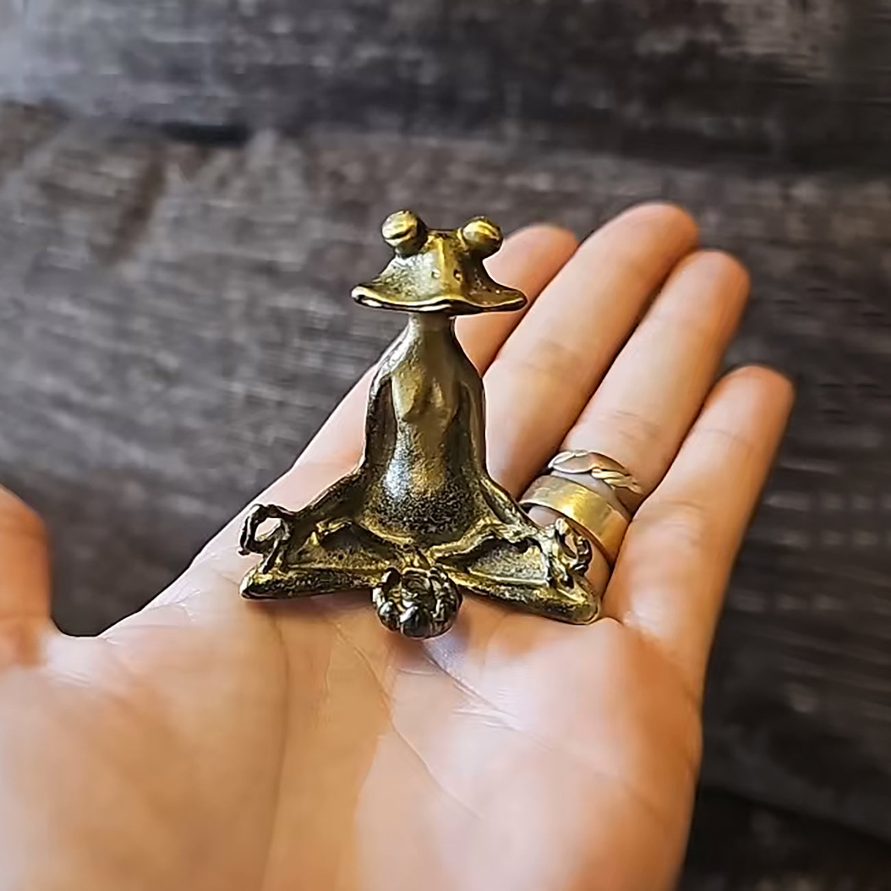 Meditating Frog Incense Holder for Zen Home Decor and Mindfulness NALANI