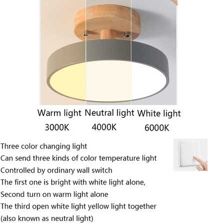 Colorful Semi-flush LED Ceiling Lights for Modern Spaces NALANI