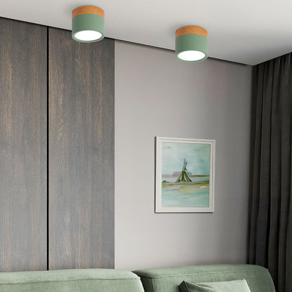 Cylinder Small Flush Ceiling Lights for Modern Home Decor NALANI