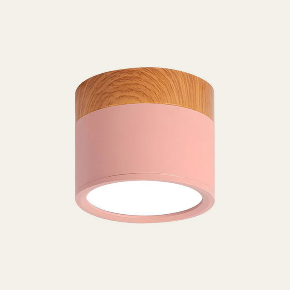 Cylinder Small Flush Ceiling Lights for Modern Home Decor NALANI