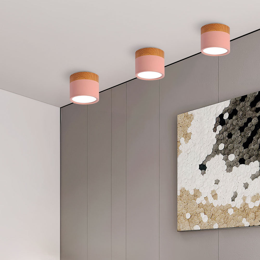 Cylinder Small Flush Ceiling Lights for Modern Home Decor NALANI