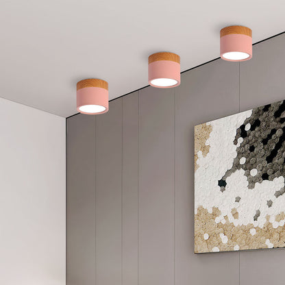 Cylinder Small Flush Ceiling Lights for Modern Home Decor NALANI
