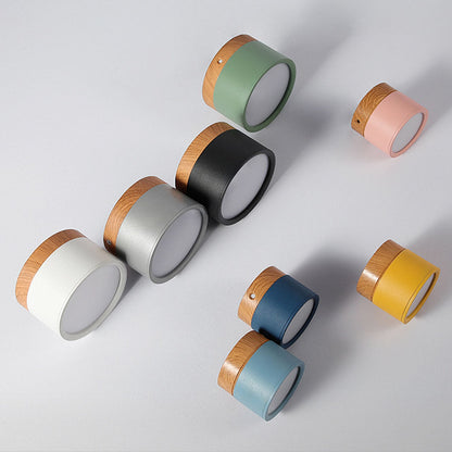 Cylinder Small Flush Ceiling Lights for Modern Home Decor NALANI