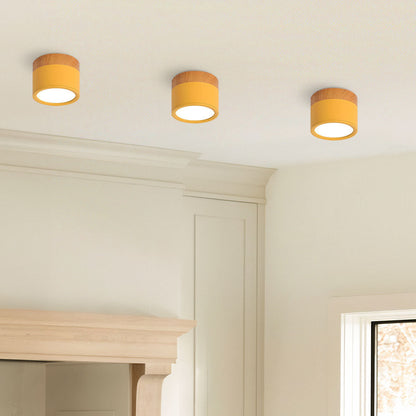Cylinder Small Flush Ceiling Lights for Modern Home Decor NALANI