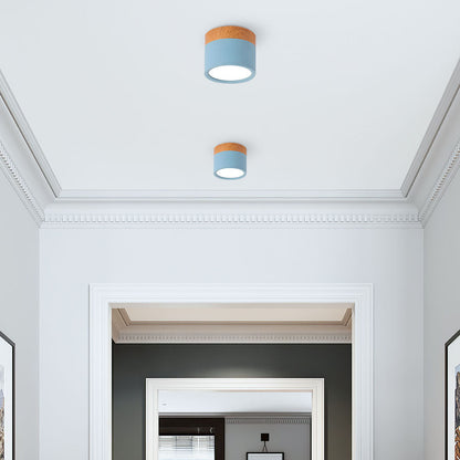 Cylinder Small Flush Ceiling Lights for Modern Home Decor NALANI