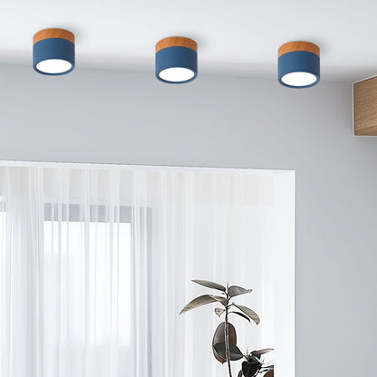 Cylinder Small Flush Ceiling Lights for Modern Home Decor NALANI