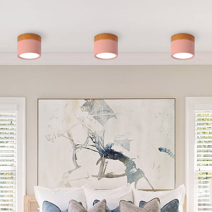 Cylinder Small Flush Ceiling Lights for Modern Home Decor Pink NALANI