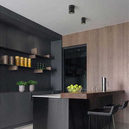 Surface Mounted Modern Spotlights for Versatile Room Lighting NALANI