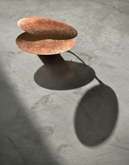 Adjustable Disc Wall Lamp With Nickel Front Disk Modern NALANI