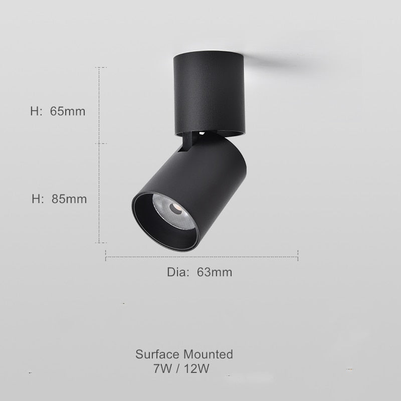 Adjustable Round Surface Mounted Downlight for Versatile Lighting NALANI