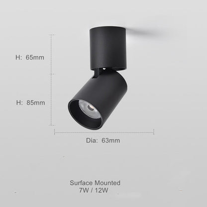 Adjustable Round Surface Mounted Downlight for Versatile Lighting NALANI